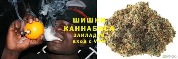хмурый Арсеньев