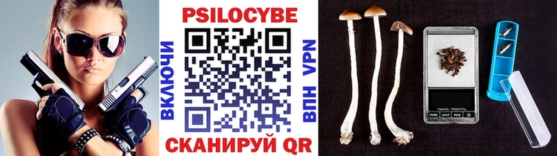 Галлюциногенные грибы мицелий  Велиж 